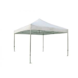 10 x 10 Speedy EZ UP Folding Frame Tent 