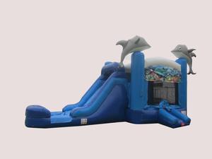 Dolphine Combo Wet/Dry Bouncy House Moonwalk Jumper 28x13 DY-C0-WDDOLPH-19A