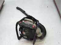 POWER BLOWER GAS