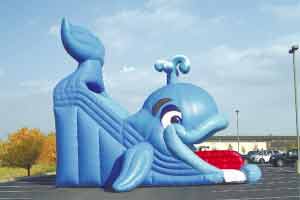 Wally Whale Slide